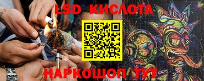 спиды Братск